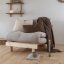 ROOT SOFA natural pine (pohovka z borovice) - Farba: karup natural, rozmer: 90*200 cm, farba futonu: natural 701