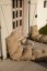 SIT AND SLEEP OUT™ - rozmer: 80x200 cm, farba futonu: white